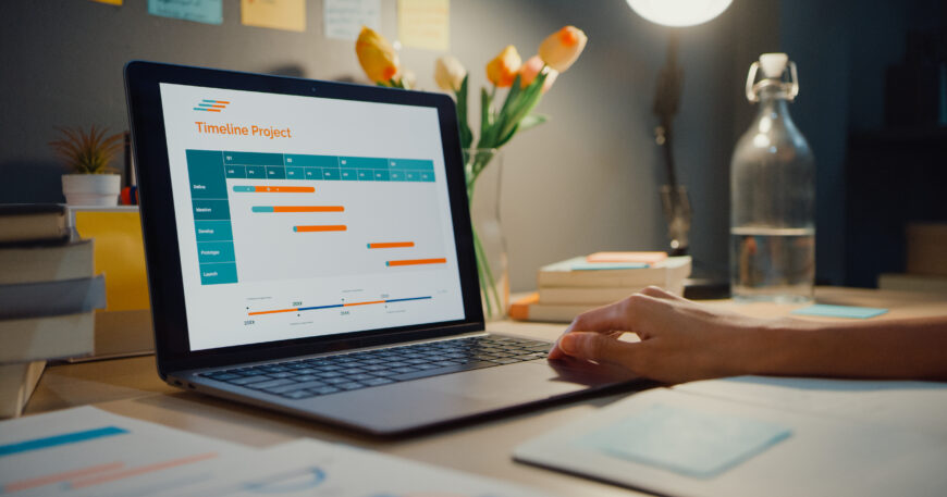 Broom-Clean Project Management: Timeline, Milestones, Budget