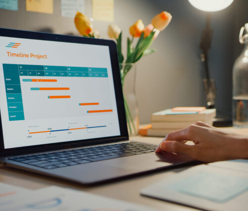 Broom-Clean Project Management: Timeline, Milestones, Budget Broom-Clean Project Management: Timeline, Milestones, Budget